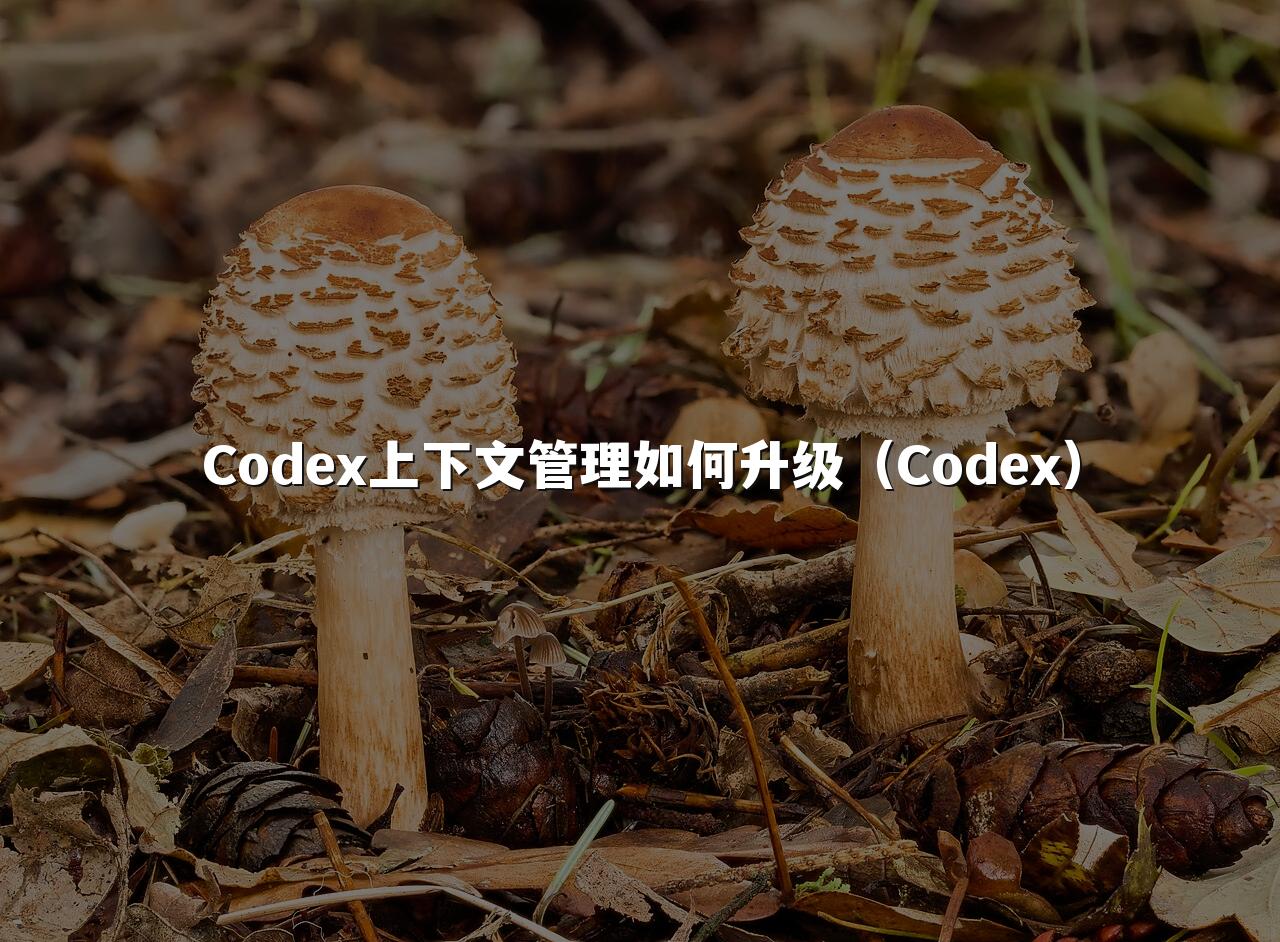 Codex上下文管理如何升级（Codex）