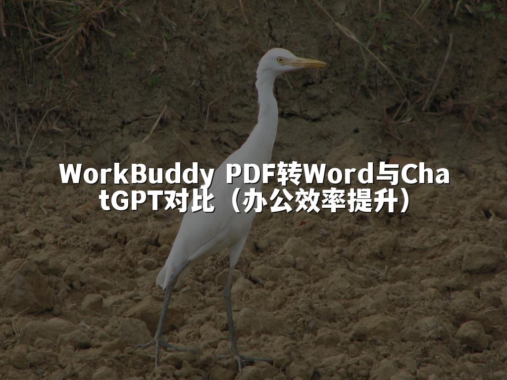 WorkBuddy PDF转Word与ChatGPT对比(办公效率提升)