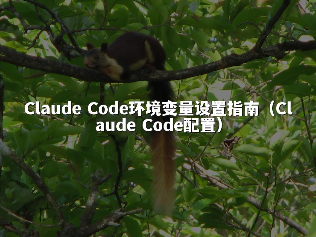 Claude Code环境变量设置指南（Claude Code配置）