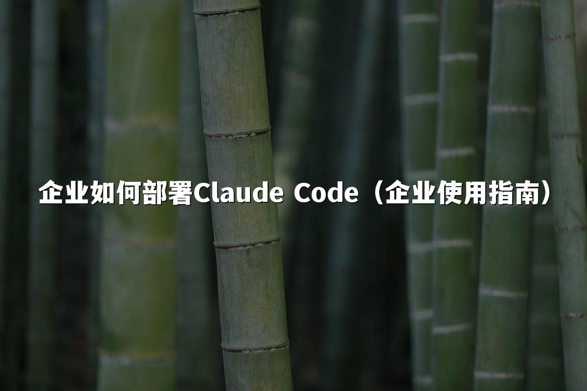 企业如何部署Claude Code(企业使用指南)