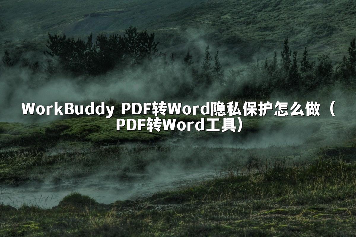 WorkBuddy PDF转Word隐私保护怎么做(PDF转Word工具)