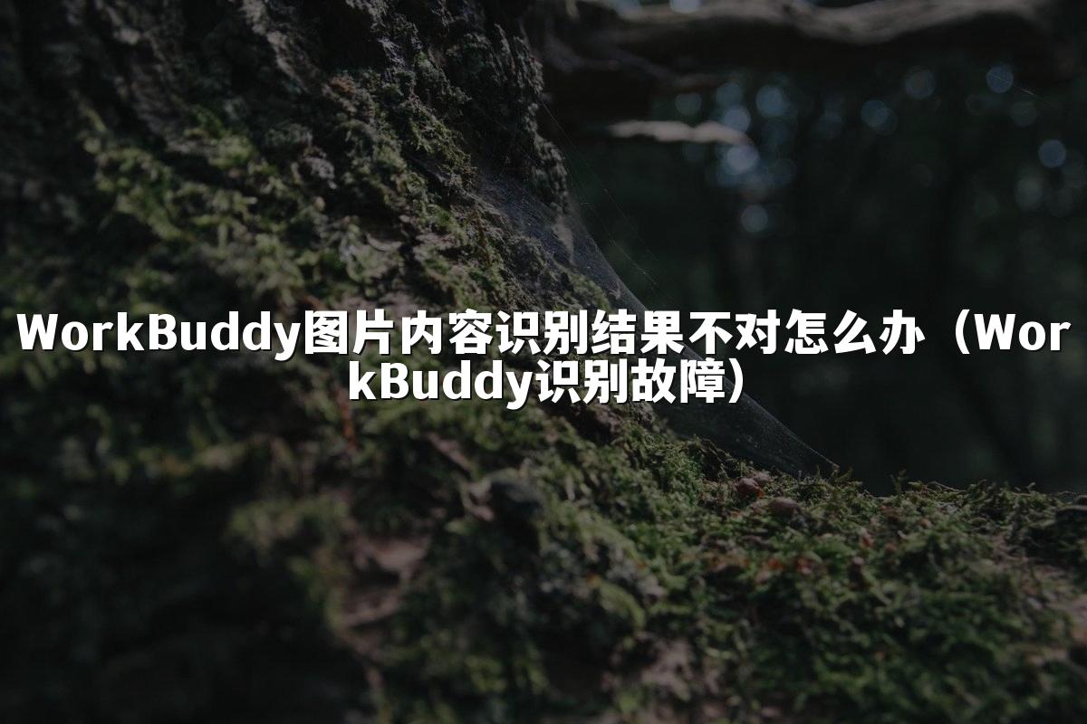 WorkBuddy图片内容识别结果不对怎么办(WorkBuddy识别故障)