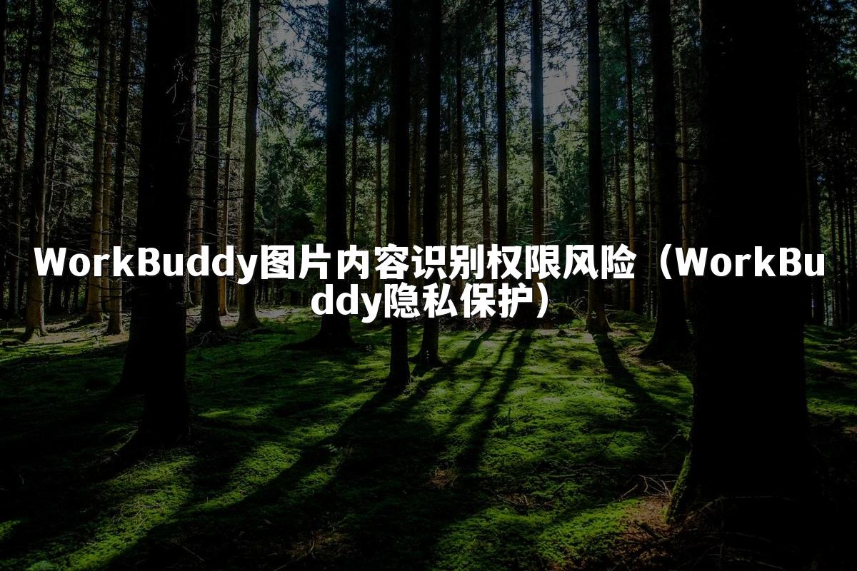WorkBuddy图片内容识别权限风险(WorkBuddy隐私保护)