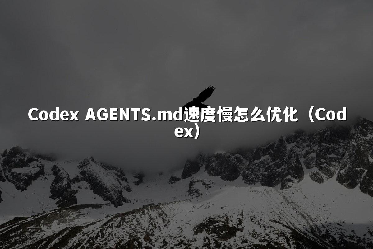 Codex AGENTS.md速度慢怎么优化(Codex)