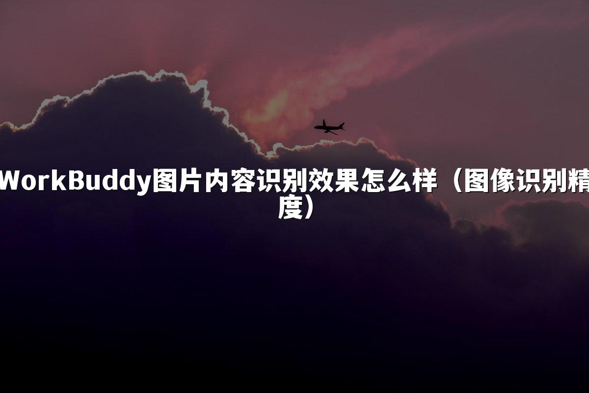 WorkBuddy图片内容识别效果怎么样(图像识别精度)