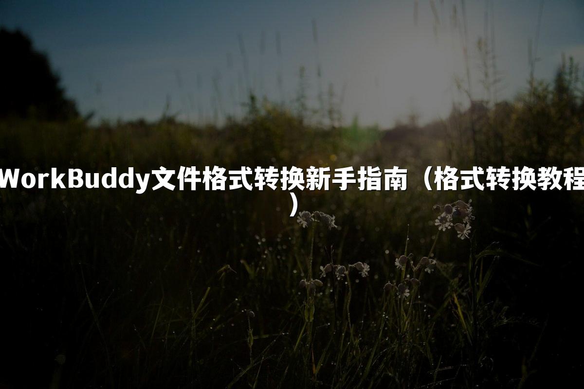 WorkBuddy文件格式转换新手指南（格式转换教程）