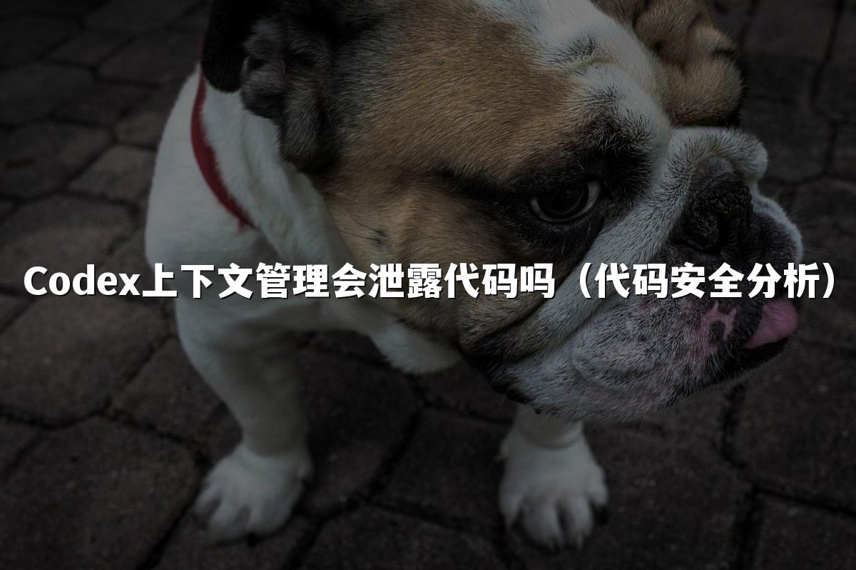 Codex上下文管理会泄露代码吗(代码安全分析)
