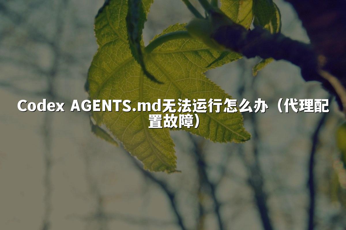 Codex AGENTS.md无法运行怎么办（代理配置故障）