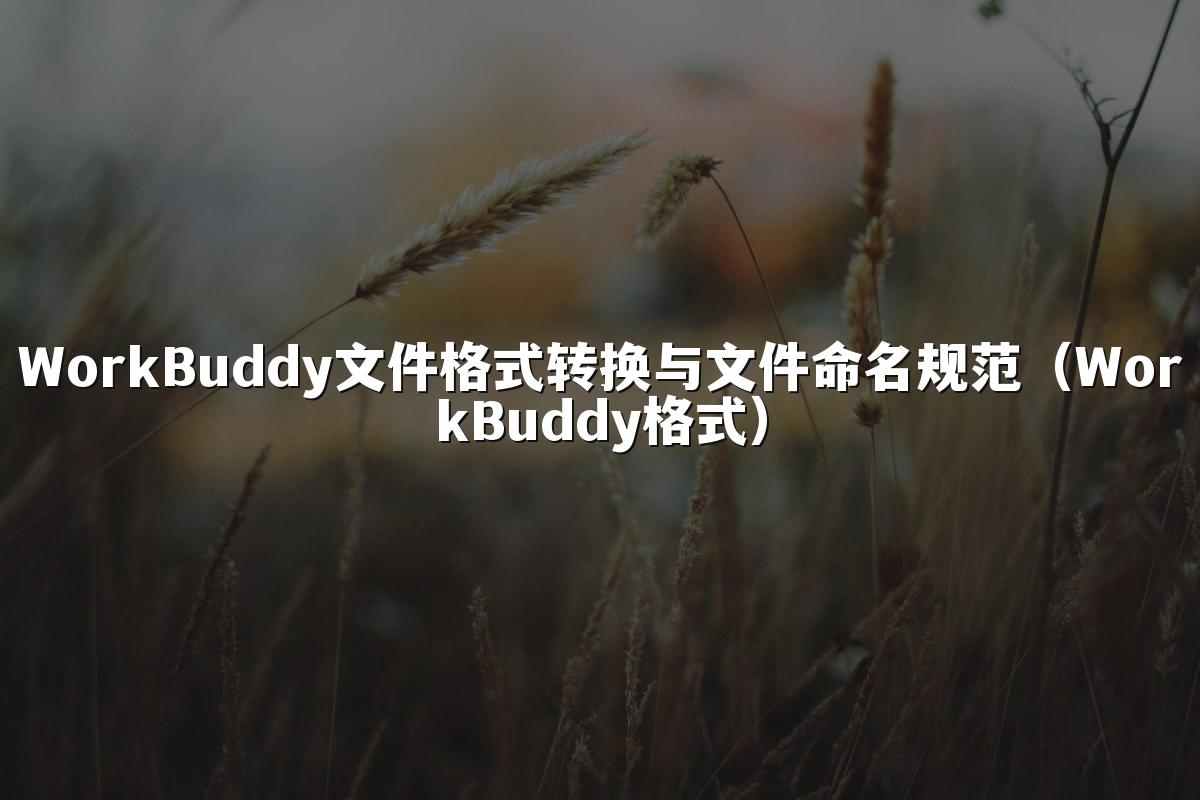 WorkBuddy文件格式转换与文件命名规范（WorkBuddy格式）