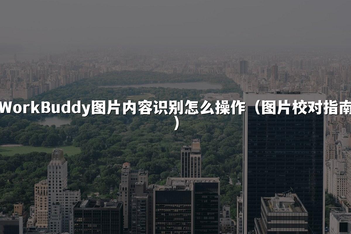 WorkBuddy图片内容识别怎么操作(图片校对指南)