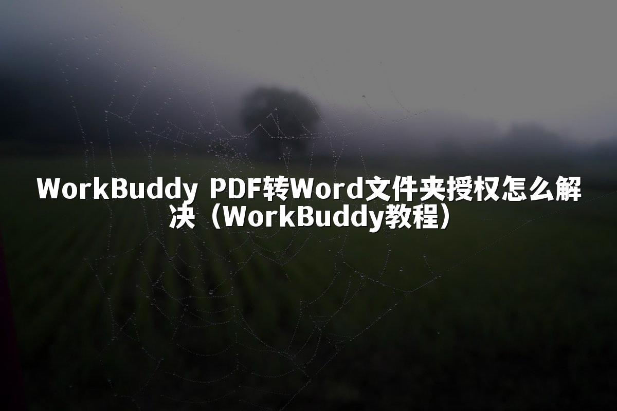 WorkBuddy PDF转Word文件夹授权怎么解决(WorkBuddy教程)