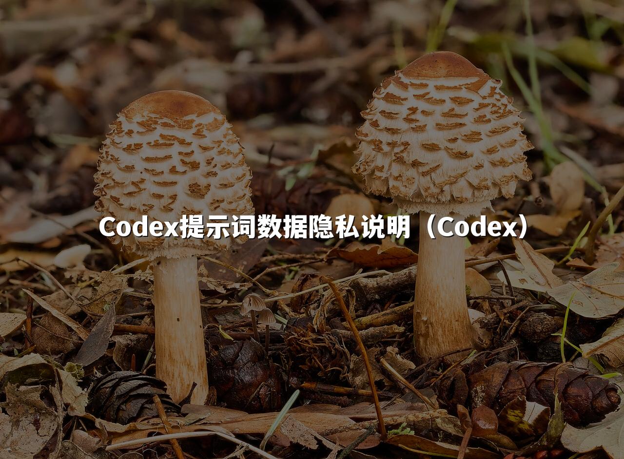 Codex提示词数据隐私说明（Codex）