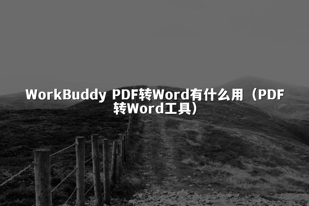WorkBuddy PDF转Word有什么用（PDF转Word工具）