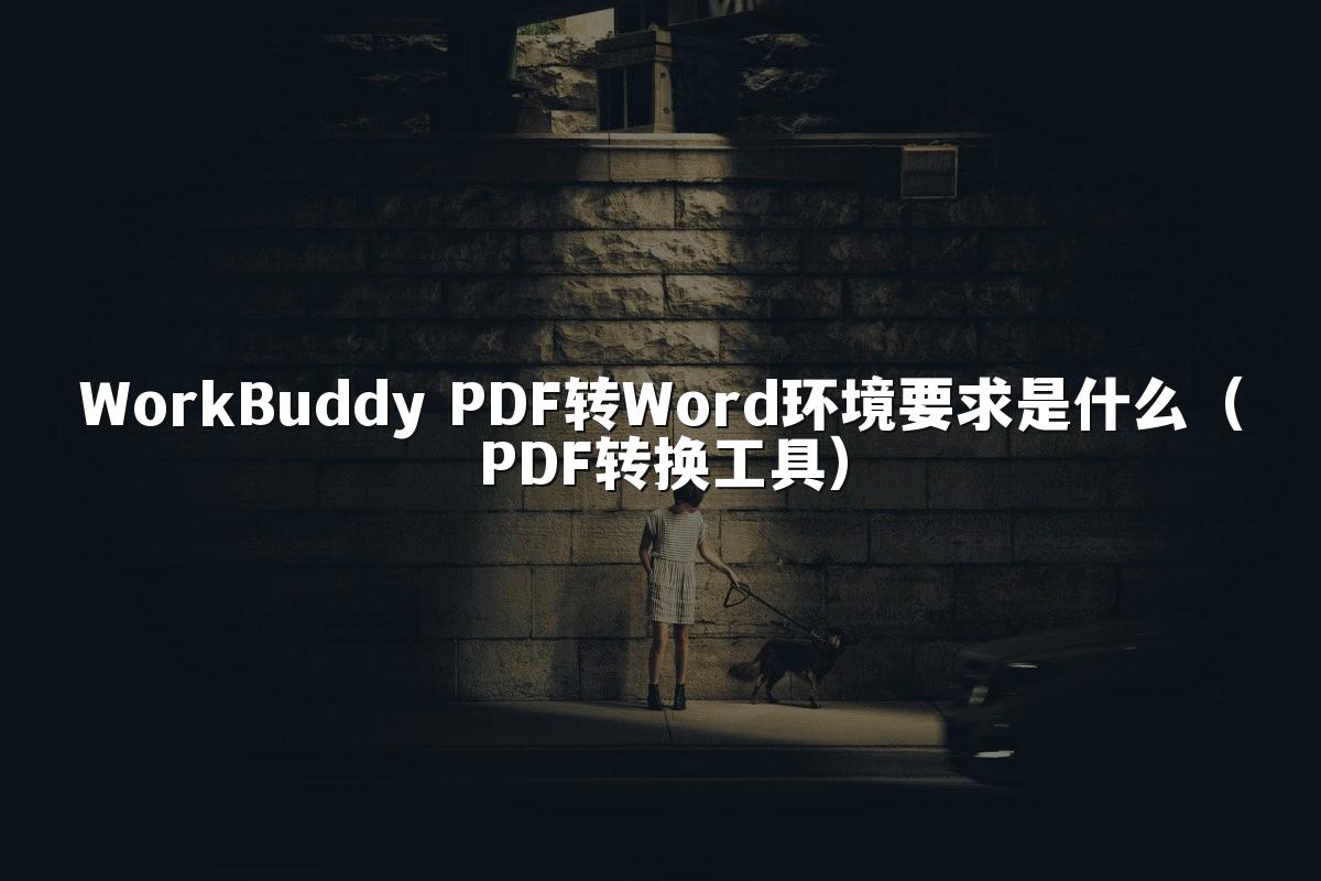 WorkBuddy PDF转Word环境要求是什么(PDF转换工具)