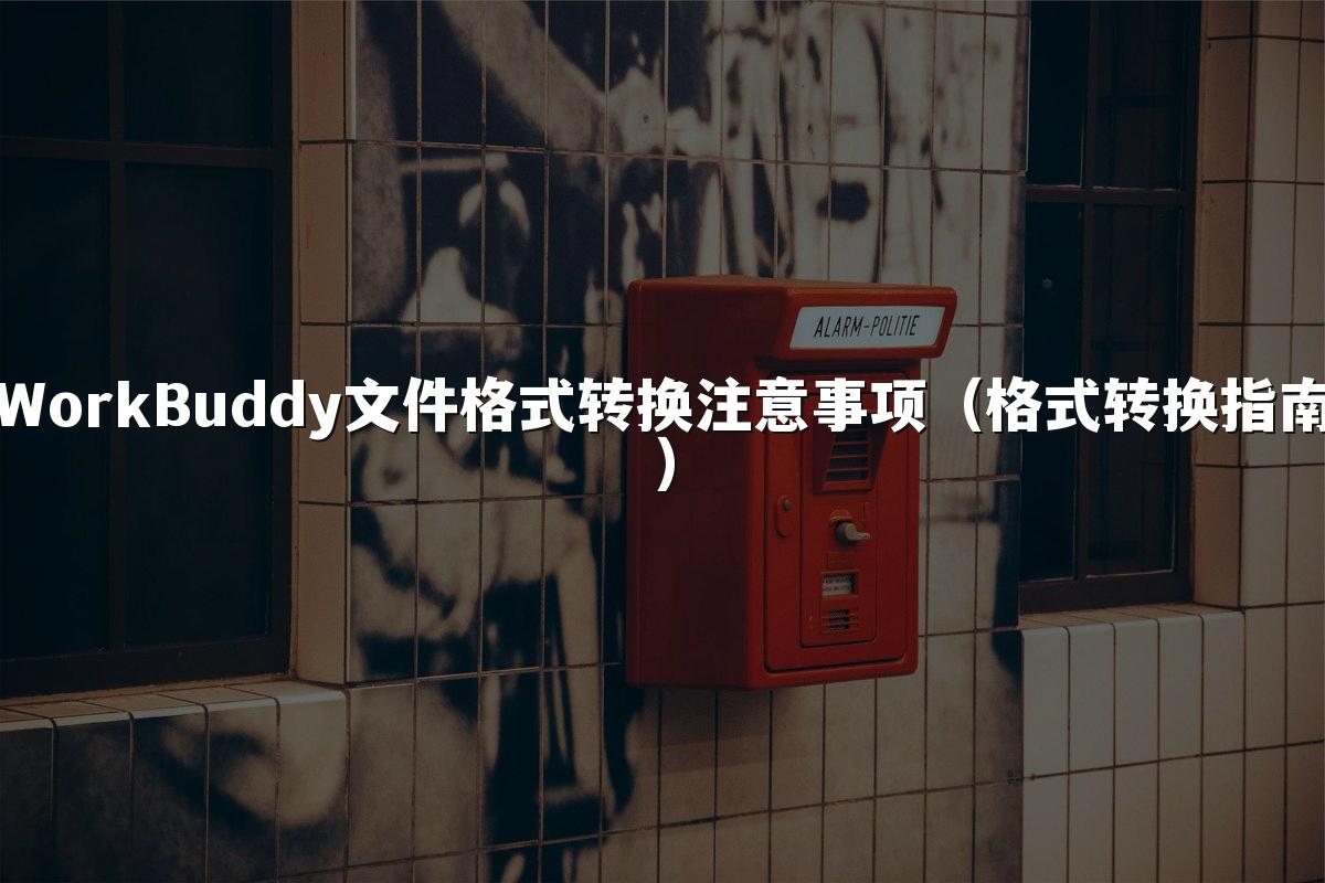 WorkBuddy文件格式转换注意事项（格式转换指南）