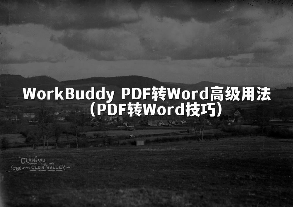WorkBuddy PDF转Word高级用法(PDF转Word技巧)