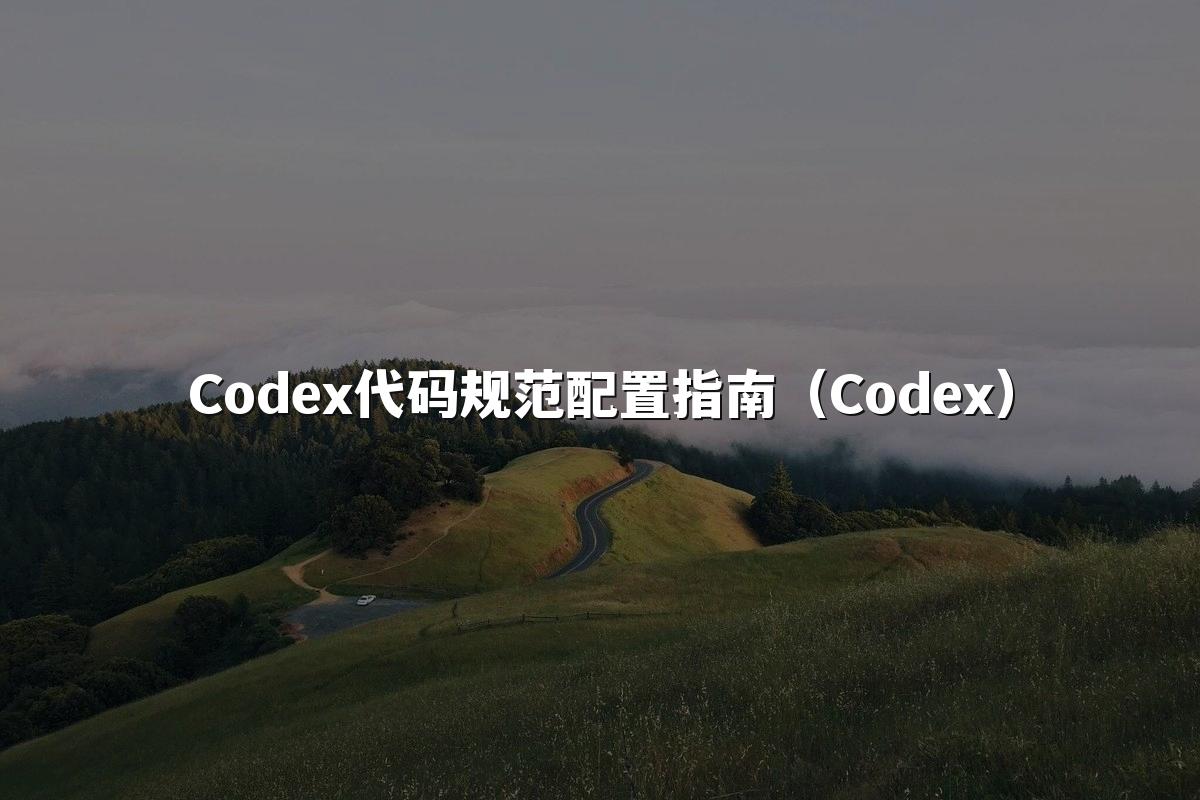 Codex代码规范配置指南(Codex)
