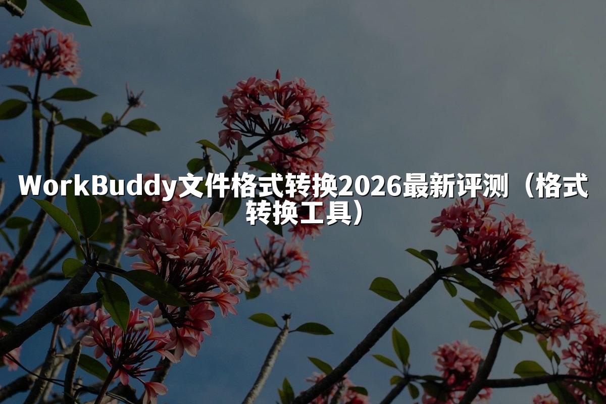 WorkBuddy文件格式转换2026最新评测(格式转换工具)