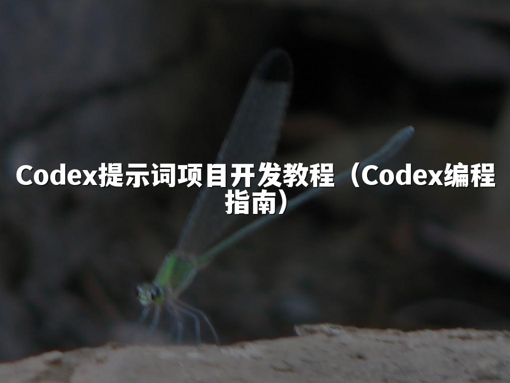 Codex提示词项目开发教程（Codex编程指南）