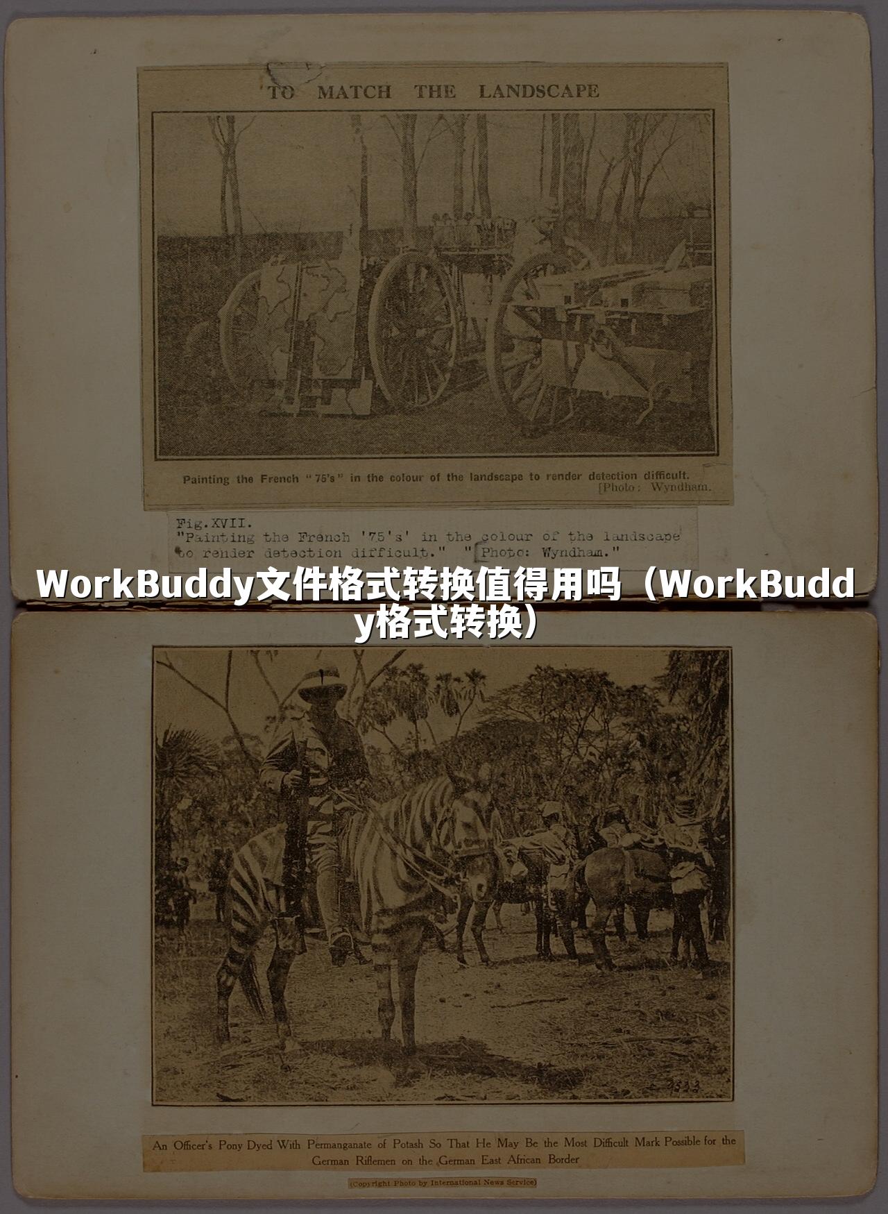 WorkBuddy文件格式转换值得用吗(WorkBuddy格式转换)