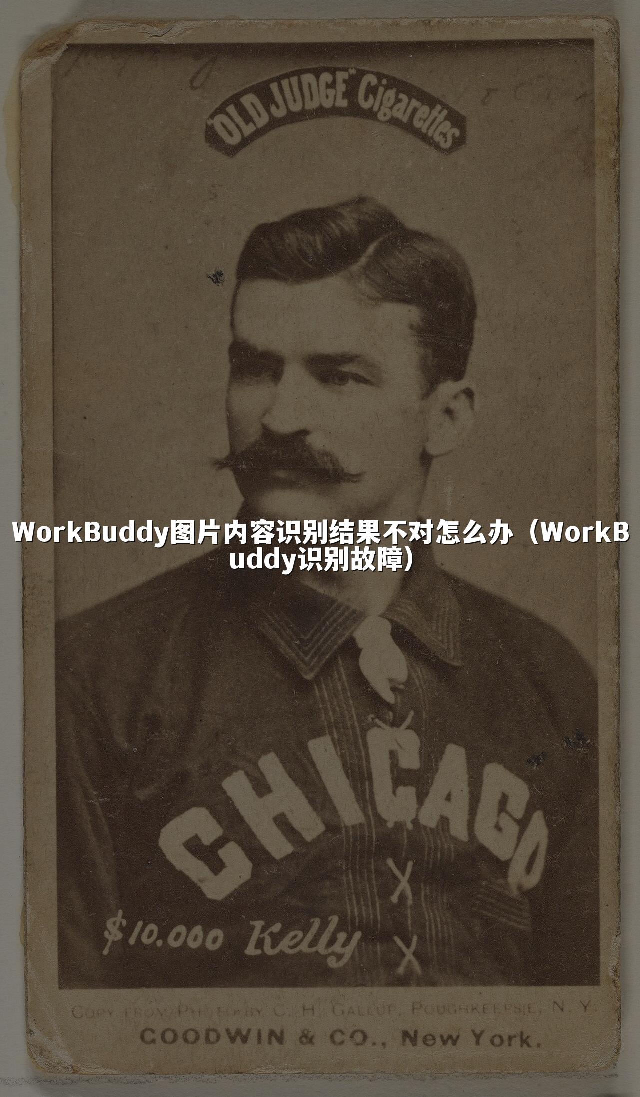 WorkBuddy图片内容识别结果不对怎么办(WorkBuddy识别故障)