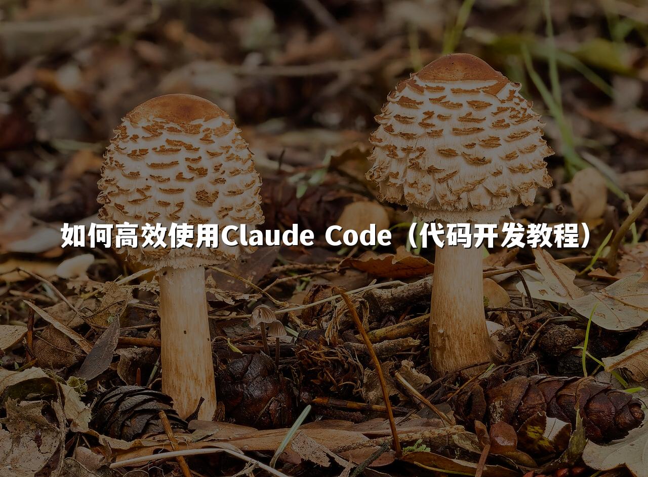 如何高效使用Claude Code(代码开发教程)