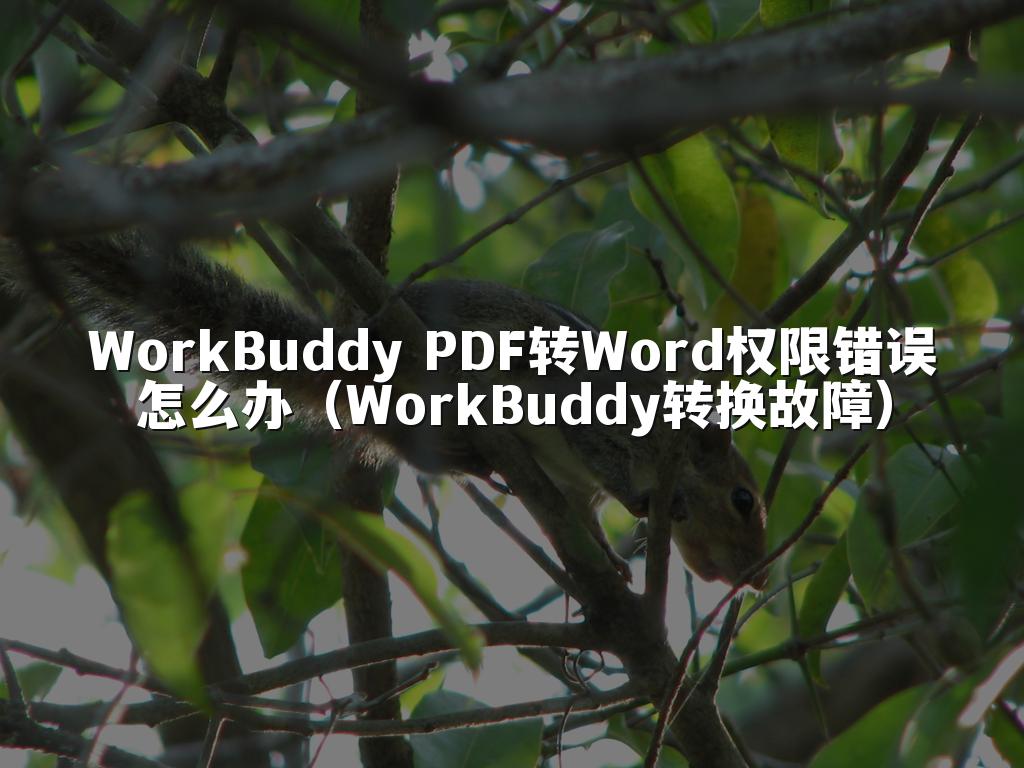WorkBuddy PDF转Word权限错误怎么办(WorkBuddy转换故障)