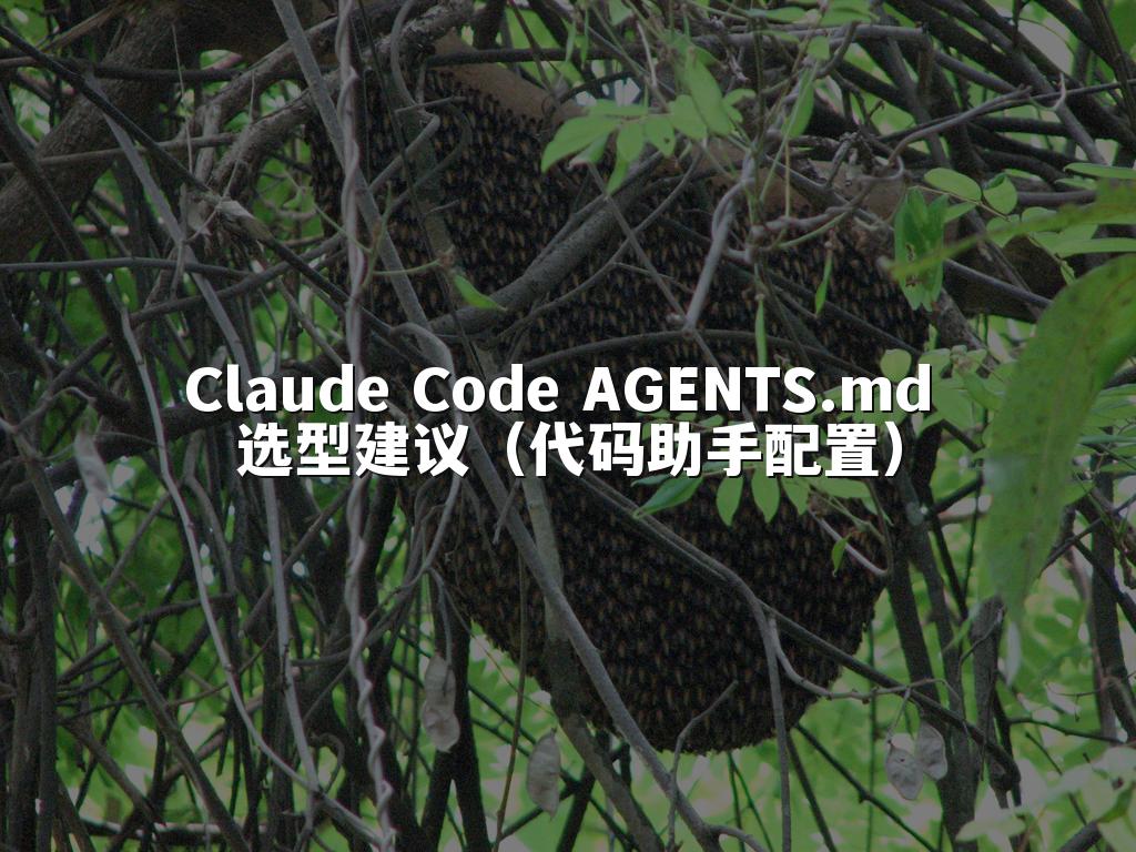 Claude Code AGENTS.md 选型建议（代码助手配置）