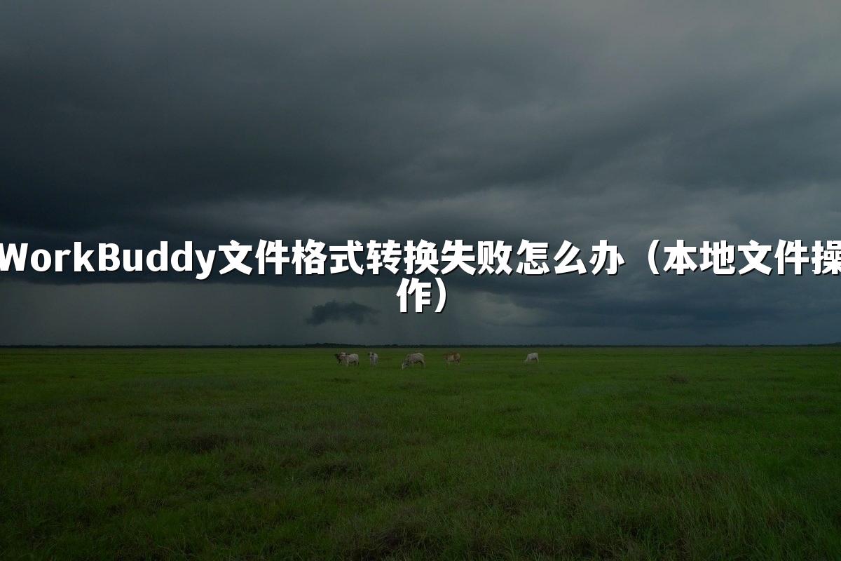 WorkBuddy文件格式转换失败怎么办(本地文件操作)