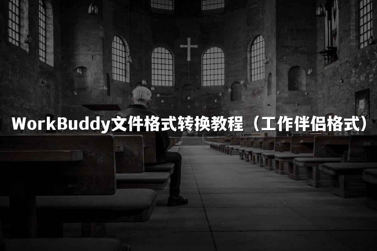 WorkBuddy文件格式转换教程（工作伴侣格式）