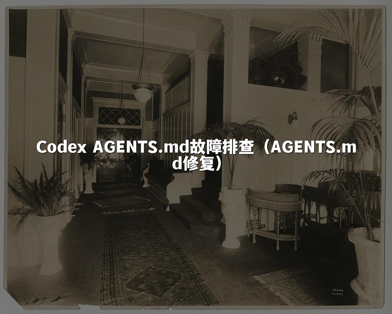 Codex AGENTS.md故障排查(AGENTS.md修复)
