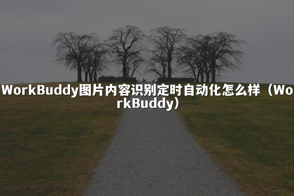 WorkBuddy图片内容识别定时自动化怎么样(WorkBuddy)