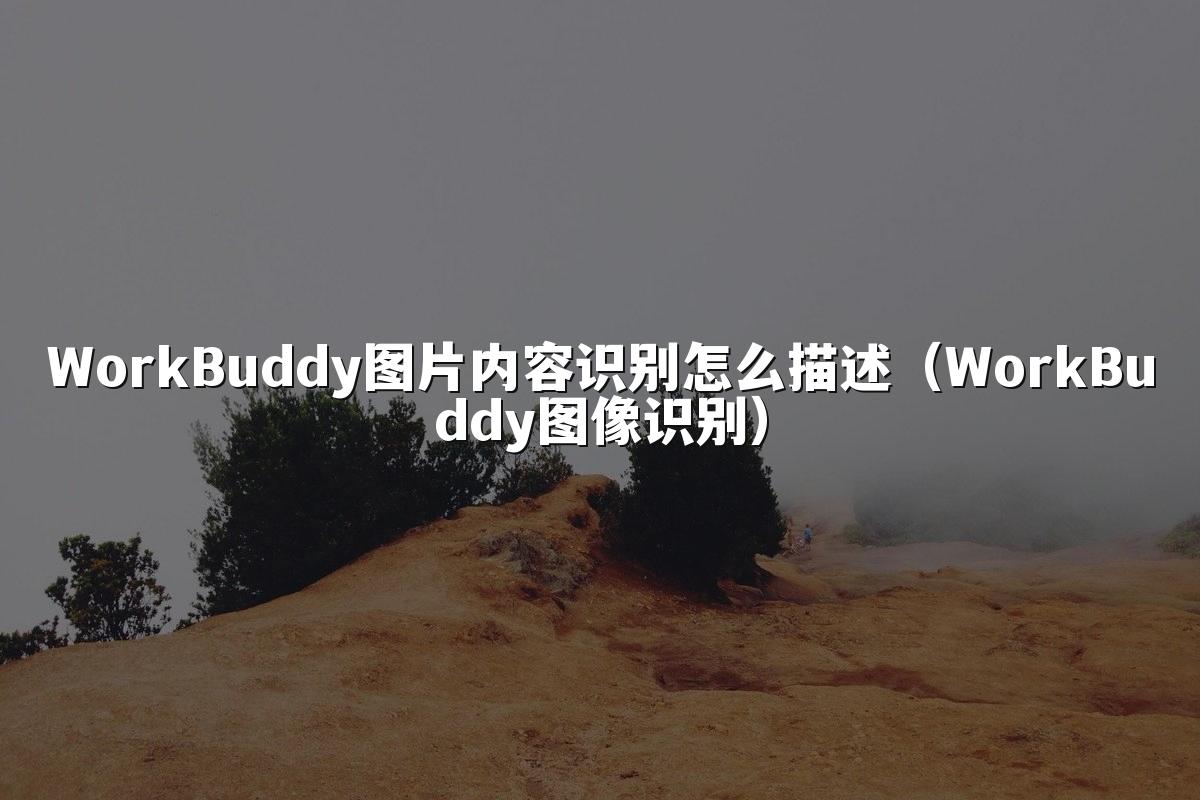 WorkBuddy图片内容识别怎么描述(WorkBuddy图像识别)