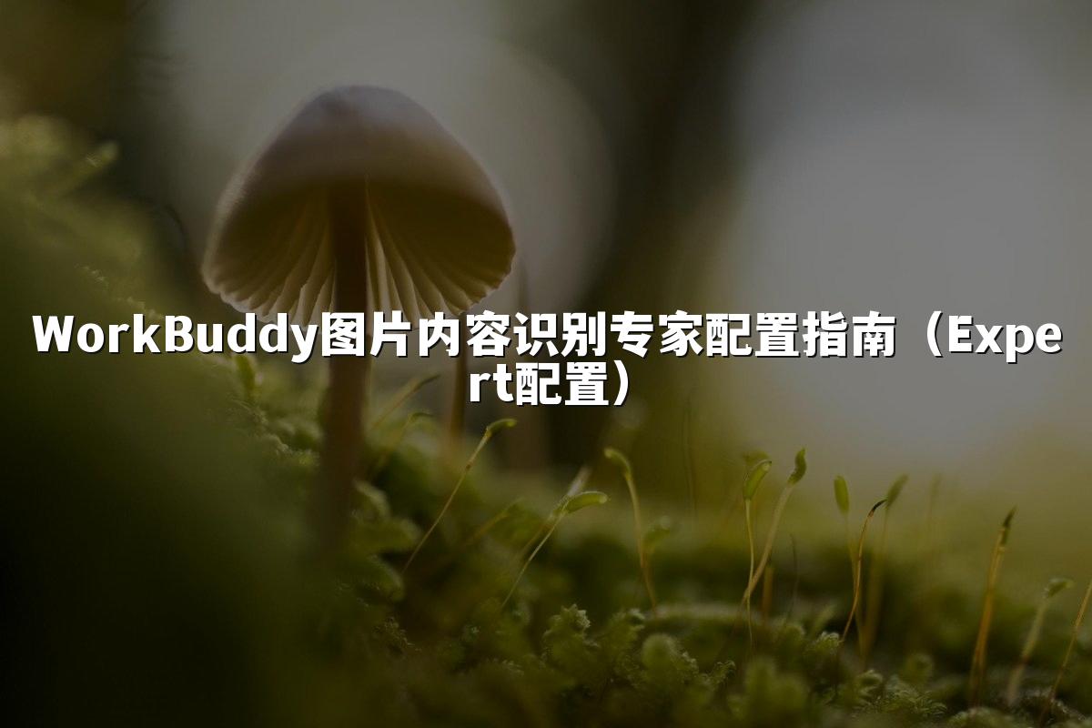 WorkBuddy图片内容识别专家配置指南（Expert配置）