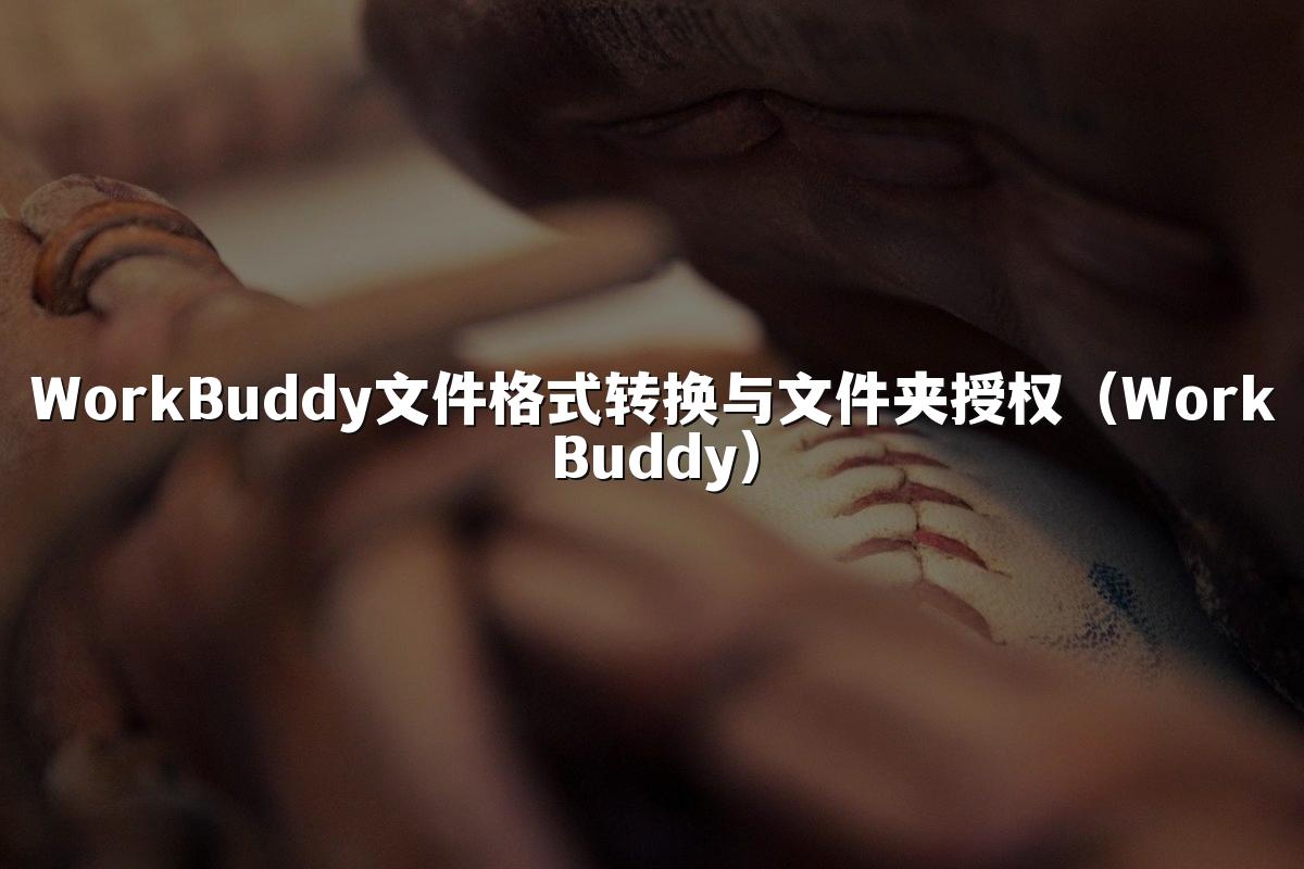 WorkBuddy文件格式转换与文件夹授权（WorkBuddy）