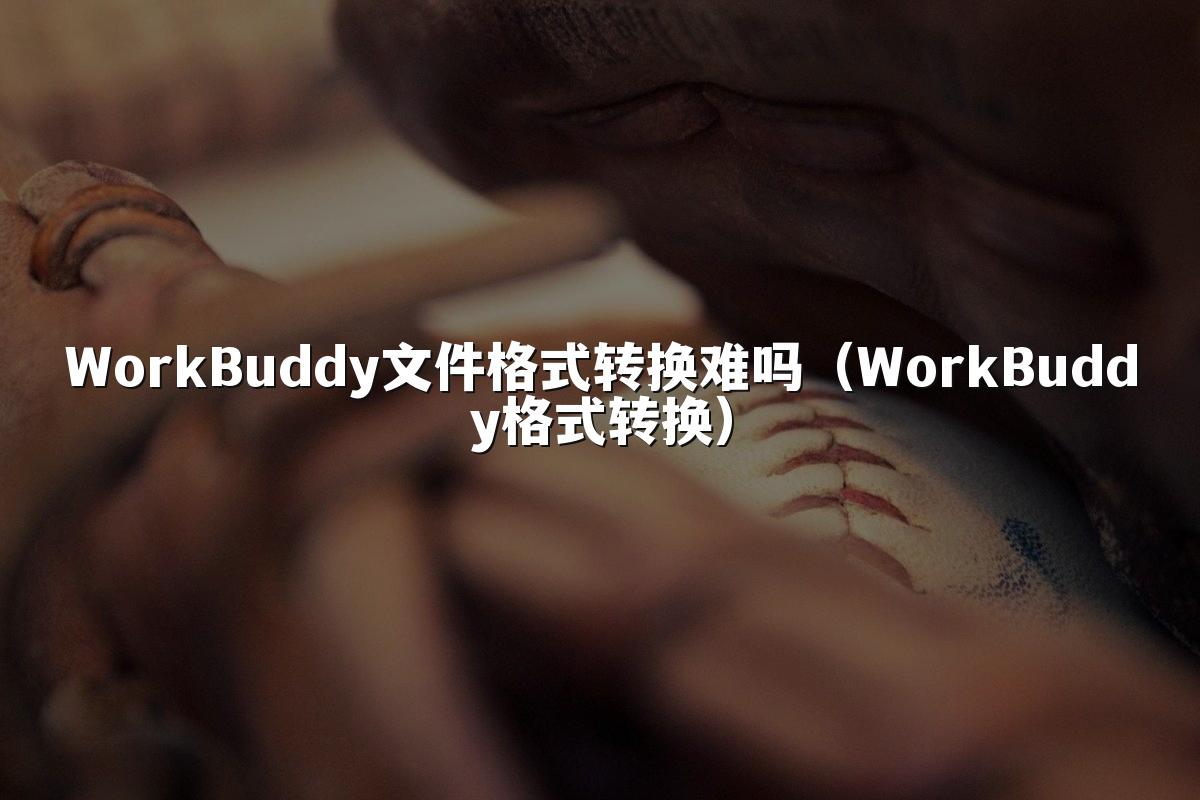 WorkBuddy文件格式转换难吗(WorkBuddy格式转换)