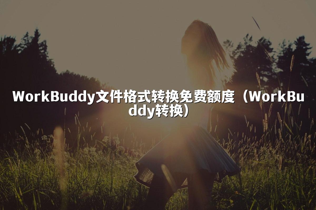 WorkBuddy文件格式转换免费额度(WorkBuddy转换)