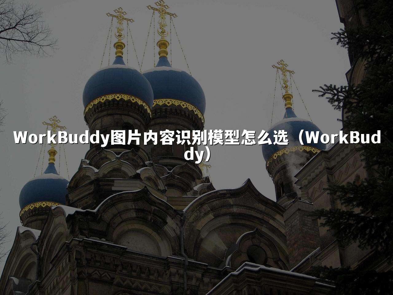WorkBuddy图片内容识别模型怎么选（WorkBuddy）