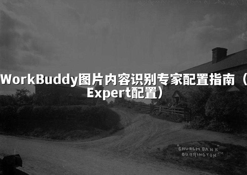 WorkBuddy图片内容识别专家配置指南(Expert配置)