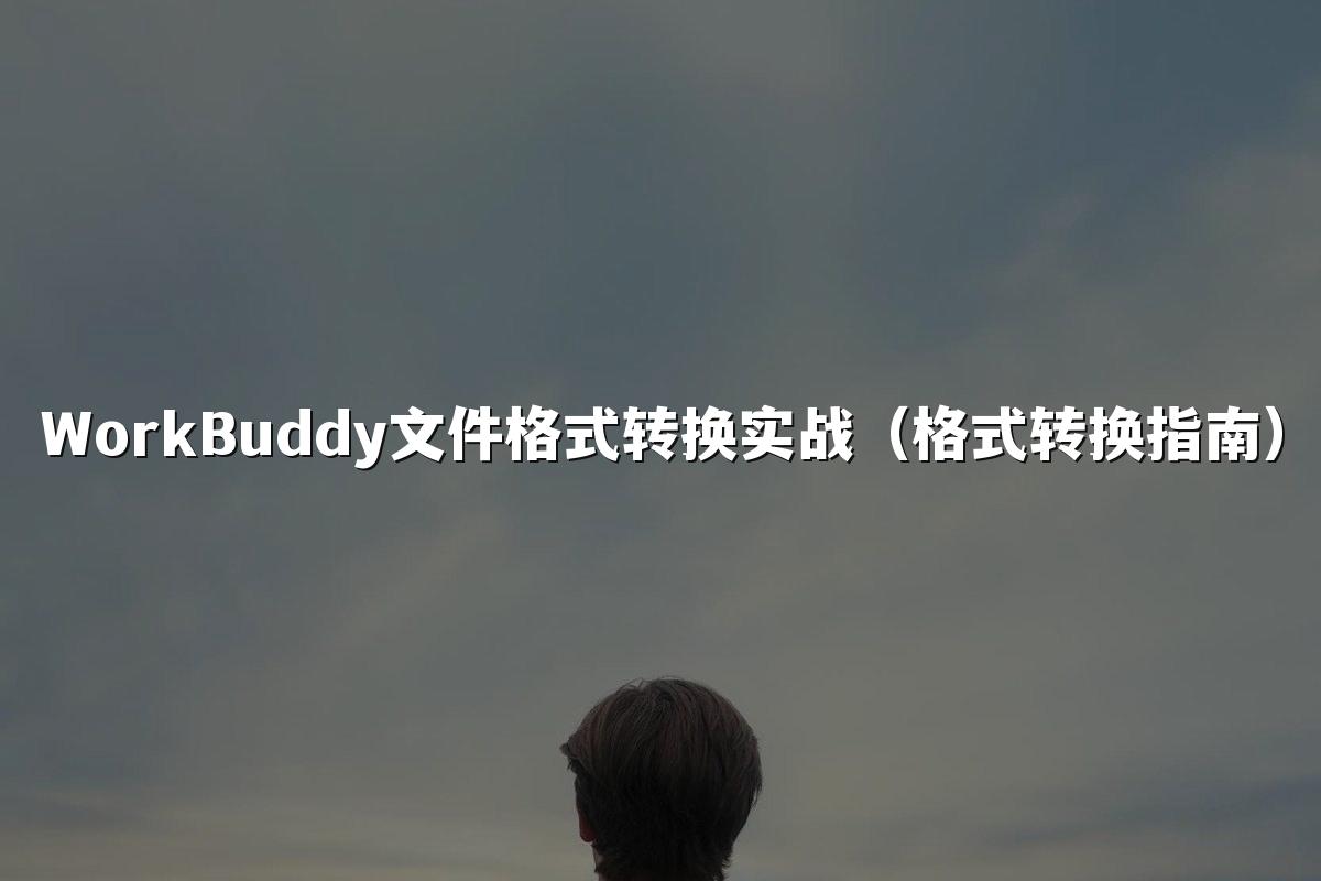 WorkBuddy文件格式转换实战（格式转换指南）