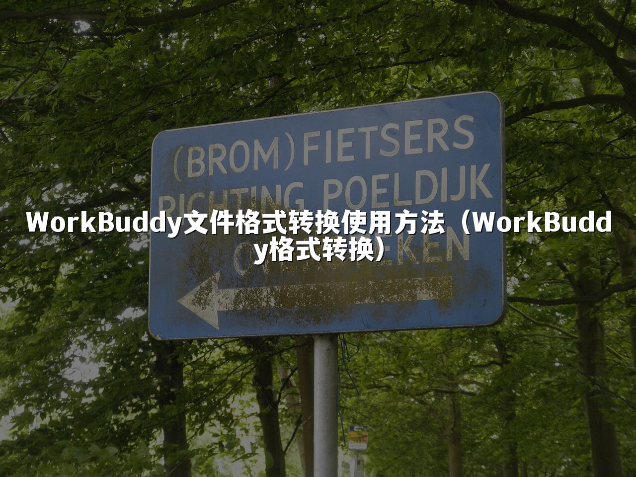 WorkBuddy文件格式转换使用方法(WorkBuddy格式转换)