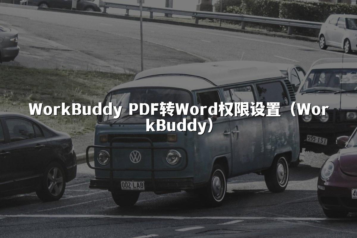 WorkBuddy PDF转Word权限设置(WorkBuddy)