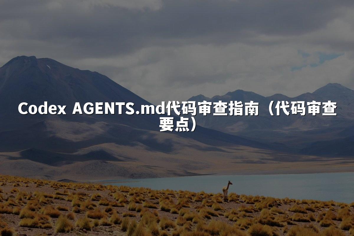 Codex AGENTS.md代码审查指南（代码审查要点）