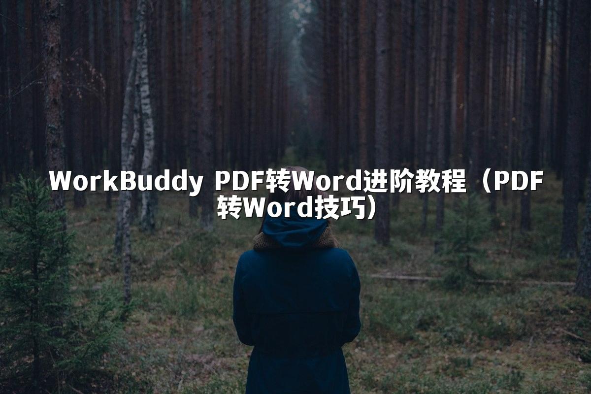WorkBuddy PDF转Word进阶教程(PDF转Word技巧)