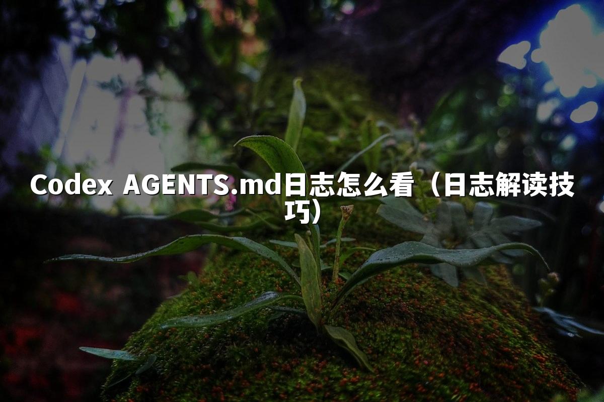 Codex AGENTS.md日志怎么看（日志解读技巧）
