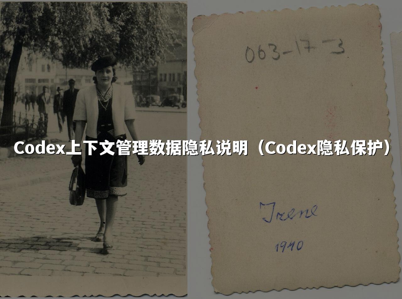 Codex上下文管理数据隐私说明（Codex隐私保护）