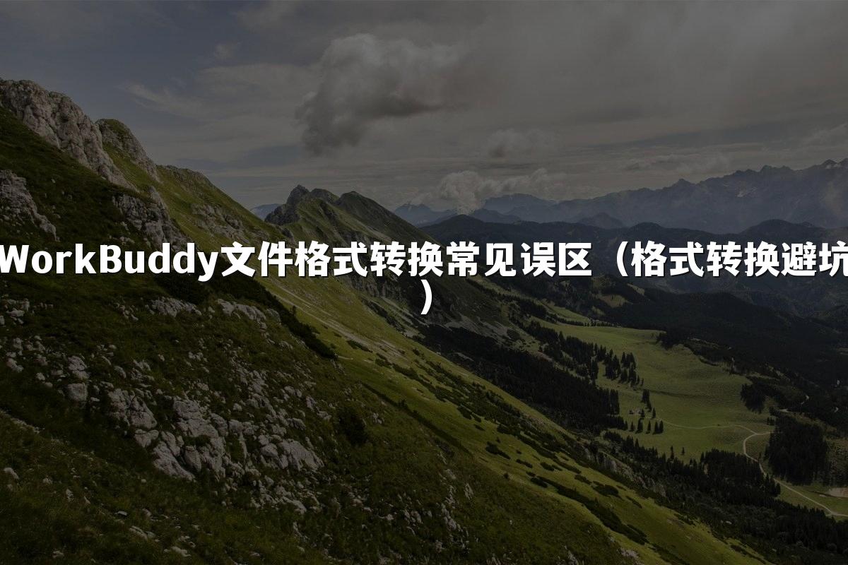 WorkBuddy文件格式转换常见误区(格式转换避坑)