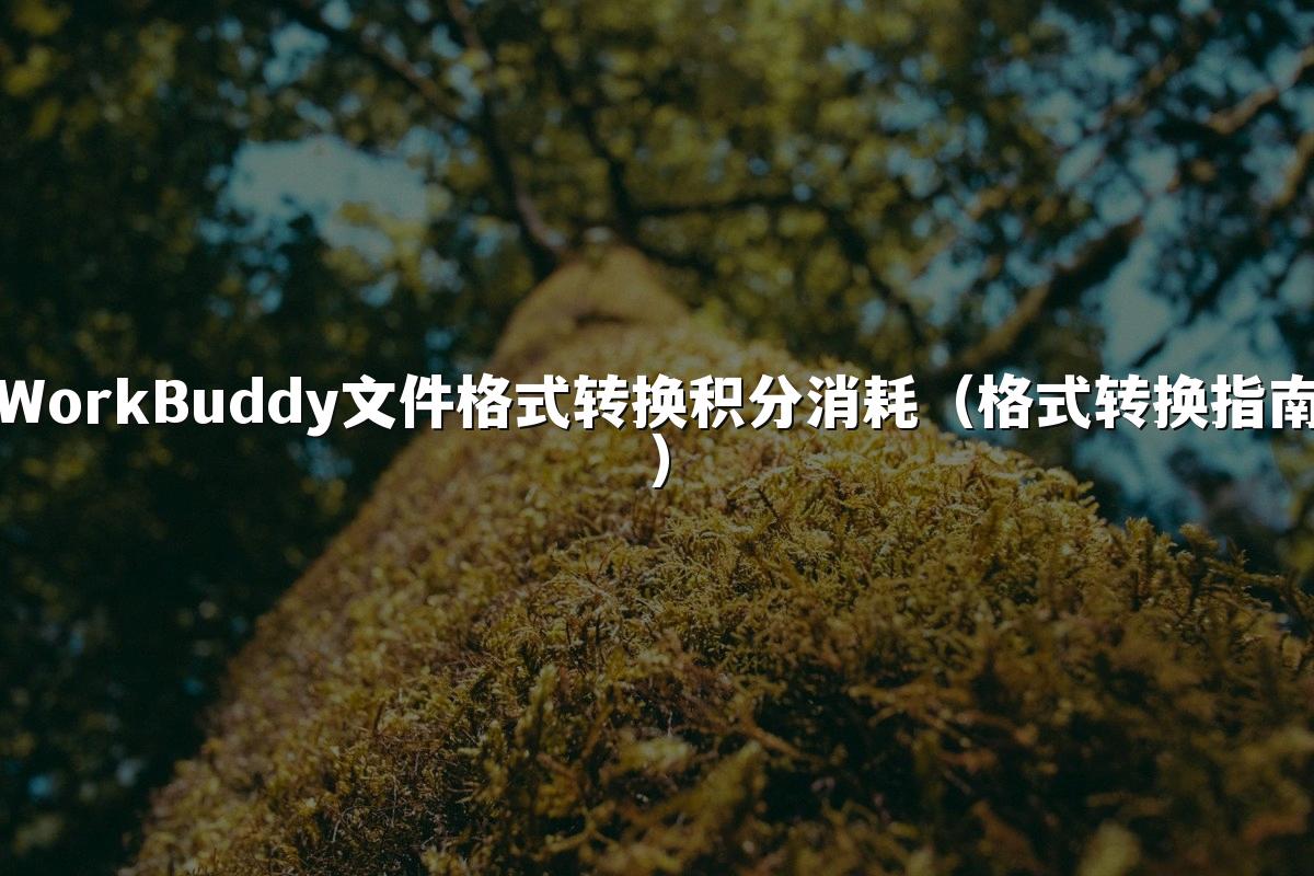 WorkBuddy文件格式转换积分消耗（格式转换指南）