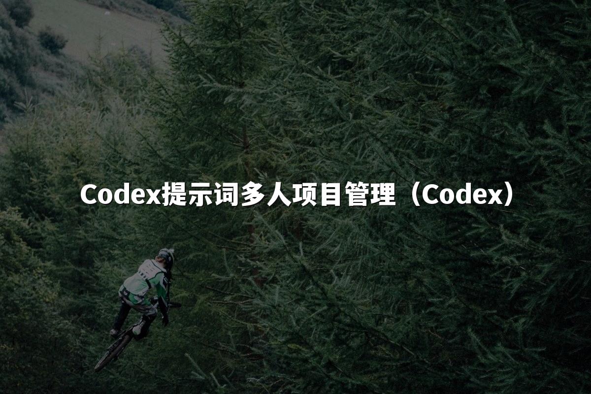 Codex提示词多人项目管理(Codex)