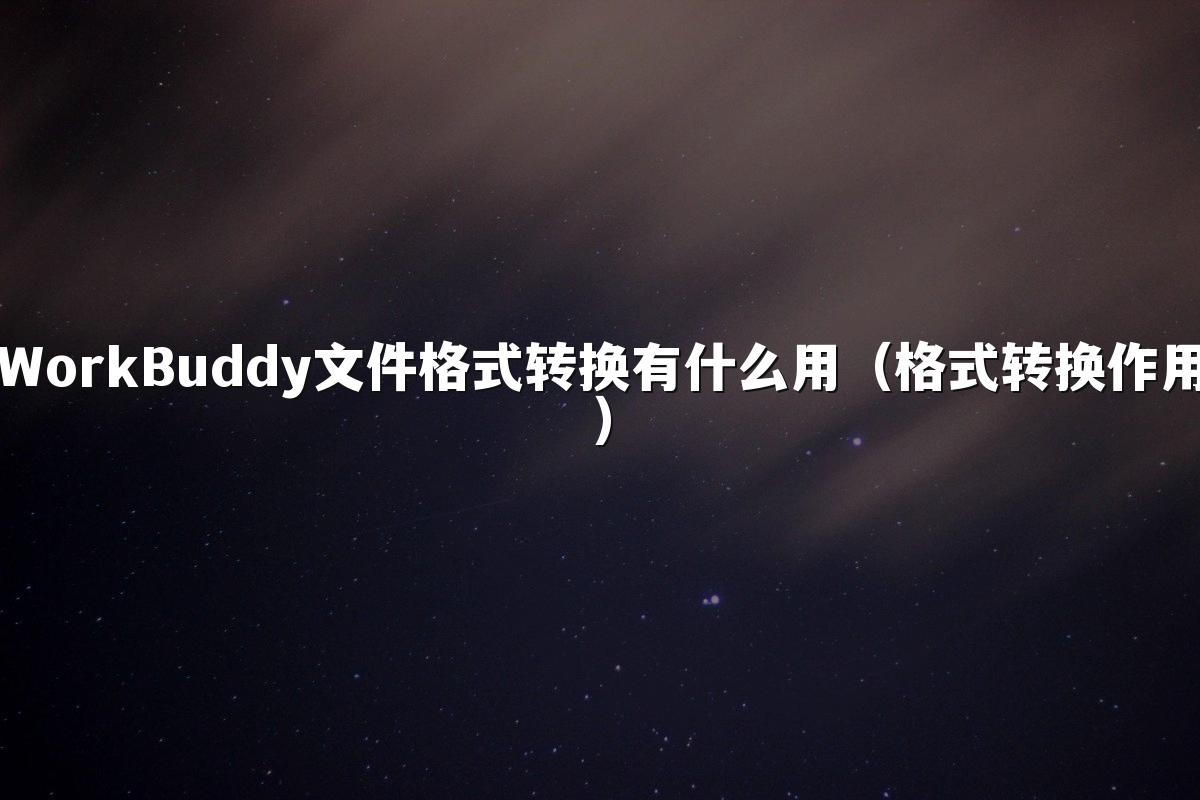 WorkBuddy文件格式转换有什么用(格式转换作用)